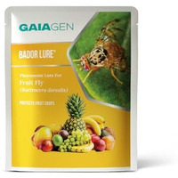 Gaiagen Bador Lure | Pheromone Lure For Fruit Fly (Bactrocera Dorsalis) | Pack Of 10 | (Does Not Include Traps).