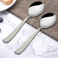 Parage 2 Pieces Stainless Steel Premium Serving Spoons, Large Spoon Set, Silver, Checks Design, 21 Cm