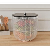 Rizik Store Modern Insect-Free Metal Fruit Basket/Bowl With Lid  Perfect For Fruits, Vegetables, And Home Dcor, Durable Design, 22X24Cm (Silver (Pack Of 1))
