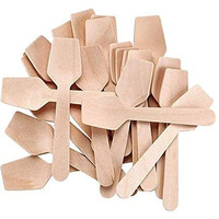 G 1 Disposable Wooden Spoon Square End 95 Mm | Mini Taster Spoon | Ice Cream Spoon | Pastry Spoon | Eco Friendly And Bio Degradable (Pack Of 100)