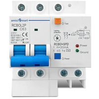 Amicismart 63A Single Phase Circuit Breaker With Leakage/Lightning Protection And Din Rail Mount, 220Vac