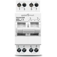 Amicismart Dual Power Manual Control Transfer Switch, 63A (Single Phase)