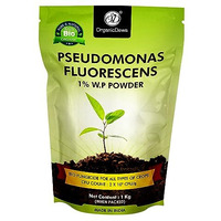 Organicdews Pseudomonas Fluorescens Powder(2X10^8 Cfu/G) (1 Kg) For Seeds And Garden Plants - Against Root/Stem Rot, Wilt Fungal Dieases 1 Kg