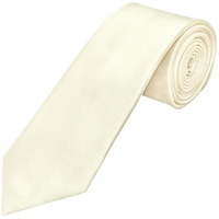 Label Punya Premium Classy Solid Satin Slim Necktie For Men | Formal & Casual Tie For Men|Perfect For Office,Formal Events, Weddings | Gift For Men-Offwhite