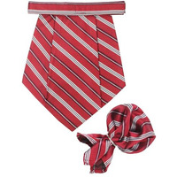 Kavove The Sharp Striped Red Cravat & Pocket Square Set