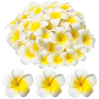 Astonandia Artificial Flowers For Decoration Frangipani Flower Plastic Frangipani Flowers For Diy Home Wedding Party Decoration(6Cm,White 20Pcs)