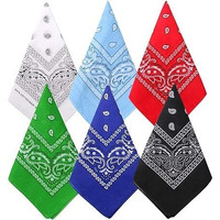 Paropkar Unisex 100% Cotton Novelty Double Sided Paisley Print Cowboy Unisex Bandanas Scarf Headband Handkerchiefs, Assorted