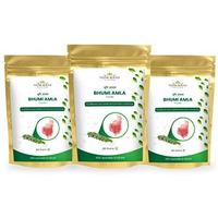 Vedikroots Bhumi Amla Powder/Churn - Organic And Pure Ingredient Extract For Healthy Liver Functioning And Digestive Strength | Enriched With Essential Nutrients