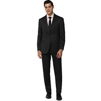 Peter England Men's Polyester Blend Regular Business Suit Pants Set (Pesuotlbt94160_Grey_42)