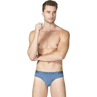 Van Heusen Men's 85% Polyamide, 15% Spandex Classic Regular Briefs (Pack Of 1) (Ihbr1Abu40005_Blue Grey_L)