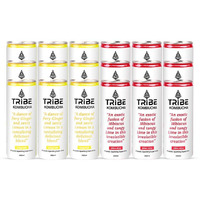 Tribe Kombucha Naturally Sparkling Probiotic Super Drink| Ginger,Hibiscus & Lemon | Gut Friendly | Gluten Free | Immunity Booster | Antioxidant And Hydration | 250 Ml (Gingerade And Hibiscus, 4)