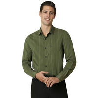Allen Solly Men's Slim Fit Shirt (Assfmmopb56657_Olive