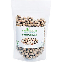 Shudh Online Putrajeevak Beej, Putrajivak Seed (1000 Grams / 1 Kg), Putrijivak, Putr Jivak, Roxburghii