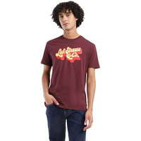 Levi's Men's Geometric Regular Fit T-Shirt (16960-1293_Red