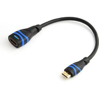 Bluerigger High Speed Mini Hdmi(Not Micro) To Hdmi Female Adapter With Ethernet (20Cm)