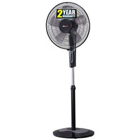Ibell Chrome10 5 Leaf Pedestal Fan With Timer. High Speed Motor - Black