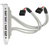Riatech 4 Ports Usb 2.0 Header Port Slot Plate Adapter Panel Cable Female Screw To Motherboard 9Pin Header Back Pci Rear Panel Bracket For Desktop Computer