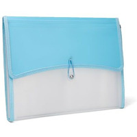 Neomate 13-Pocket Expanding File Organizer | Durable Accordion Folder for Documents, Certificates, and Office Use | Blue
