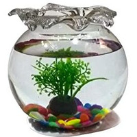 Jainsons Diwali Gift Fish Glass Bowl with Baby Plant Multi Color Stone and Artificial Fish (6 inch, Green1)