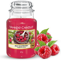 Yankee Candle Company Red Raspberry Large Jar Candle