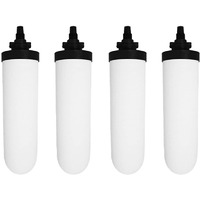 RAMA Spirit 7 Inch Water Filter and Purifier Ceramic Candle with Activated Carbon, 3 Stages of Filtration, Greater Than 4 Log Bacteria Removal, Pack of 4