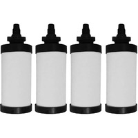 Rama Spirt 4 Ultra-Fast Filtration Water Filter & Purifier Candle Compatible with Rama Gravity Water Filters Pack of 4