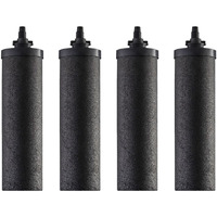 RAMA Carbon Ultra-Fast Filtration Water Filter & Purifier Candle Pack of 4