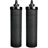 RAMA Carbon 8 Ultra-Fast Filtration Water Filter & Purifier Candle Pack of 2