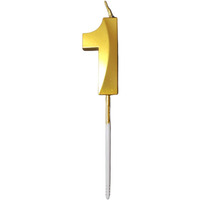 Party Decorz Number 1 Gold Candle | One Number Candle |Number 1 Metallic Gold Candle for Birthday,Anniversary, Surprise Party Cake Decoration Candle