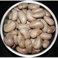 LJL Traders Organic Fresh Jackfruit Seeds Suitable for Eating and Planting (Product of Kerala) - 200 g (Pack of - 5)