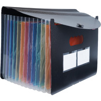 Brustro EZExpand A4 Folder 13 Pocket Expanding File Folder, Letter Size Accordion Document Organizer for School, Home & Office