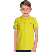 Allen Solly Junior Boys' Plain Regular Fit T-Shirt (AKBTS5182152_Yellow_11-12 Years)