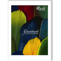RUSH NOTE BOOKS 452 Pages A4 Notebooks for Students Set of 2 Notebooks Ruled A4 Size Note Books Combo Set Register (452 Pages)