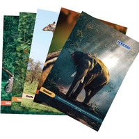 KAANUKA Long Size Notebook - 172 Pages, Ruled, Single Line, A4-29.7cm X 21.0cm, Pack Of 5 Notebooks, Long Size Single line Notebooks for School and College Students