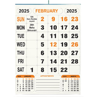 AccuPrints 2025, 14 by 20 inch Offices Wall Calendar Large Dates with Space for Marks/Notes