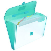 Flybuy Hub Waterproof Expanding Folder with 13 Pockets & Index Labels ?Document Organizer Bag for Certificates, Papers | Portable Accordion with Dividers Briefcase File Folder for Any Document (Green)