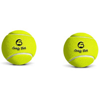 Goofy Tails Tennis Dog Ball Dog Toys | Combo of Tennis Ball for Dog| Non Squeaky Toys for Dogs |Dog Toy Ball| Dog Chew Toys| Balls for Dogs (Light Green, Pack of 2)