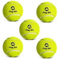 Goofy Tails Tennis Dog Ball Dog Toys, Combo of Tennis Ball for Dog, Non Squeaky Toys for Dogs,Dog Toy Ball, Dog Chew Toys, Balls for Dogs (Light Green, Pack of 5)