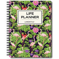 Nourish A5 Life Planner for 6 Months Undated Hardcover, Includes Monthly, Daily, Fitness and Financial Planner
