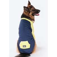 Huft Colour Block Pocket Pet Sweatshirt (M, Neon And Navy)