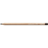 Caran DAche Luminance Lightfast Professional Colored Pencil For Artist (Cassel Earth)