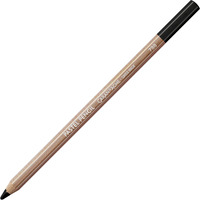 Caran DAche Pastel Pencils For Artist With Ultra-Fine Pigments (Black)