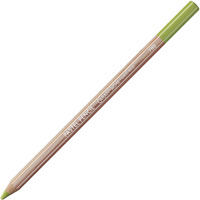 Caran DAche Pastel Pencils For Artist With Ultra-Fine Pigments (Middle Moss Green 10%)
