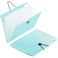 SKYFUN (LABEL) Plastic Reusable File Project Folders Paper Documents with Pockets Labels Letter Size for Home, Office, School Work (5 Pockets)