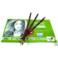 Cretacolor Fine Art Graphite Set Of 3 Pencils(Hb, 4B,8B.) + Brustro Sketching & Drawing Papers 200 Gsm A5 (Pack Of 20 Sheets.)