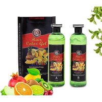 Fruit Vinegar Ammonia Free 10 Minutes Hair Color Colour Gel A + B 500 Ml Each Black/Natural Black