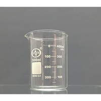 Isko Borosilicate Glass Beaker 500 Ml (Set Of 2)