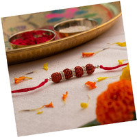 Astrotalk Siddh Rudraksha Rakhi For Brother Combo | Blessed & Energised 5 Mukhi Rudraksha | Rakhi Gift For Brother With Roli-Chawal | For Protection & Peace