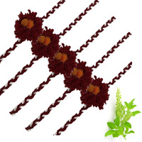 Chottey Lal And Sons Rakshabandhan Eco-Friendly Plantable Rakhi With Seed For Kids And Teenagers Brothers | Natural Plantable Rakhi With Embedded Seed For Plantation - (Set Of 5, Color May Vary)