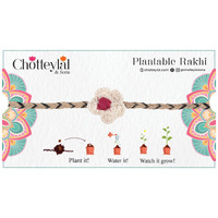 Chottey Lal And Sons Rakshabandhan Special Multicolor Rakhi With Seed, Rakhi For Brother/Men, Natural Plantable Rakhi With Seed (Set Of 1)